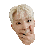 P1Harmony Sticker