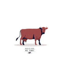 MrDairy food delicious milk splash Sticker