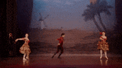 Nutcracker GIF by English National Ballet