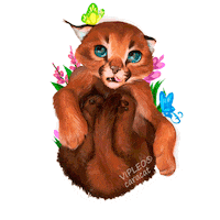 Cat Котенок Sticker by VIPLEO® is the cattery founder of legal caracats.