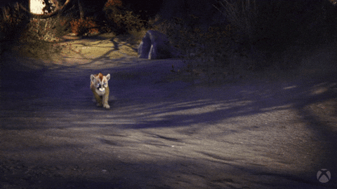 Scared The Elder Scrolls Online GIF by Xbox