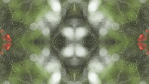 Art Love GIF by jorgemariozuleta