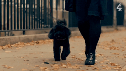 Made In Chelsea Episode 3 GIF by E4