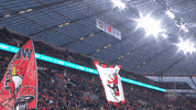 GIF by FOX Sports