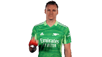 Celebrate Germany Sticker by Arsenal