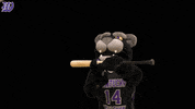 kwcpanthers panthers kwc kdub wesley GIF