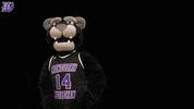 kwcpanthers panthers kwc kdub wesley GIF