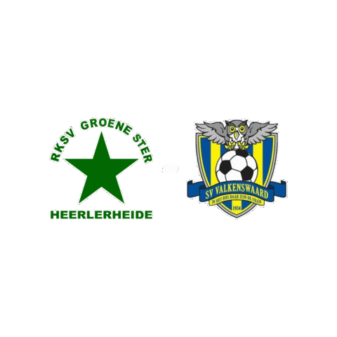 Sport Heerlen Sticker by Groene ster
