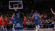 Excited Dallas Mavericks GIF by NBA