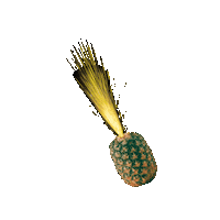 DasLangohr party dancing celebration fireworks Sticker