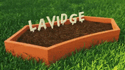 lavidgeco lavidge earth day GIF