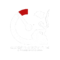 Aristhrottle rallyraid roadbook roadbooknavigation aristhrottle Sticker