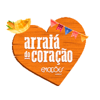 nelsonwendt arroz emoções arrozemocoes arraia emoções eu amo o nordeste Sticker