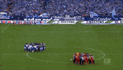 fc schalke 04 football GIF by 1. FC Köln