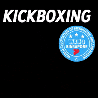 activered certification level1 wakosingaporekickboxingcoach kickboxingcoach GIF