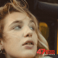 47 Meters GIF by 47 Meters Down Uncaged