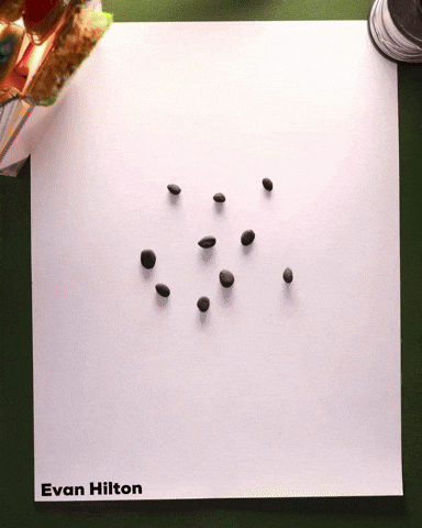 Green Apple GIF by Evan Hilton