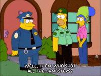homer simpson episode 22 GIF