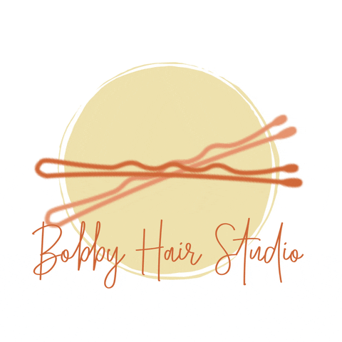 BobbyHairStudio bobby hairdresser hairstylist hairpin GIF