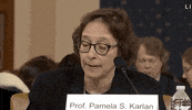 news impeachment impeachment inquiry pamela karlan GIF