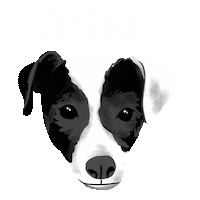 Jack Russell Dog Sticker by four things paper