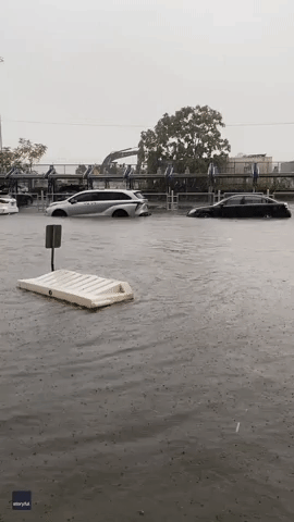 Debris Floats in Floodwater as Downpours Continue in Brooklyn
