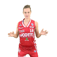 Weareuse Sticker by Use Basket