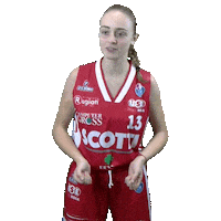 Basketball Sticker by Use Basket