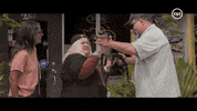 Road Trip Alligator GIF by Canal TNT