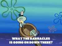 season 6 dear vikings GIF by SpongeBob SquarePants