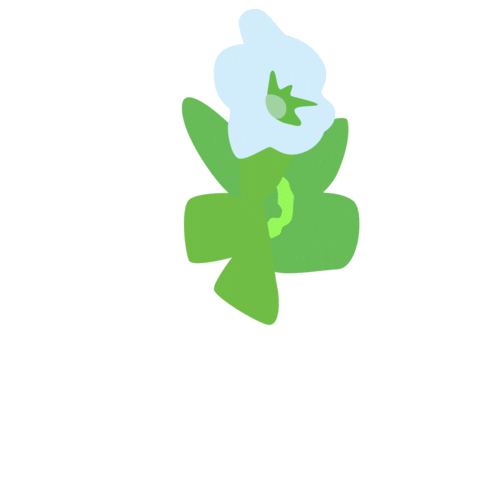 Skincare Sticker by Drunk Elephant