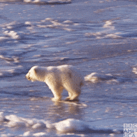 Happy On My Way GIF by BBC America