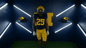 Go Blue College Football GIF by Michigan Athletics