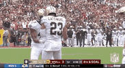 New Orleans Saints Football GIF by NFL