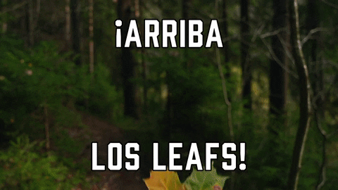 Toronto Maple Leafs Sport GIF by Sealed With A GIF