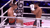 Mixed Martial Arts Mma GIF by GLORY Kickboxing