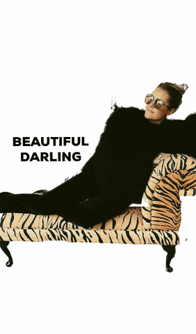 Beautiful Darling GIF by Anemone Interiors