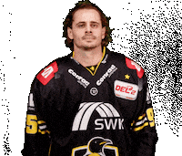 Del2 Seidenstadt Sticker by Krefeld Pinguine