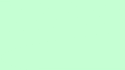 shersmy shers wearshers shersbrand shersmy GIF