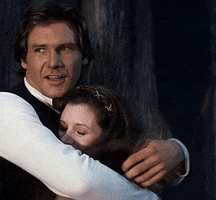 Han Solo Hug GIF by hamlet