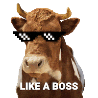 Like A Boss Cow Sticker by Redefine Meat