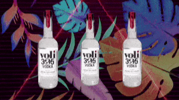 Miami Latina GIF by Voli 305 Vodka