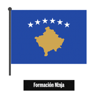 Flag Bandera Sticker by Formación Ninja