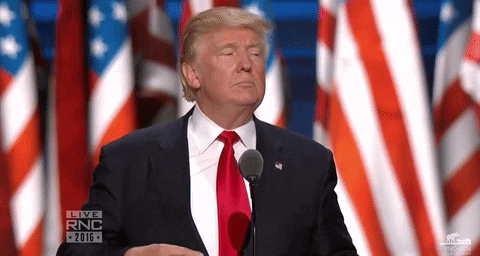 Political gif. Donald Trump stands at the podium at The Republican National Convention in 2016. He holds two sides of his suit jacket and shakes them to straighten them out as he looks down at the crowd.