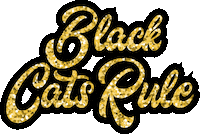 Black Cat Cats Sticker by Foster Bubbies