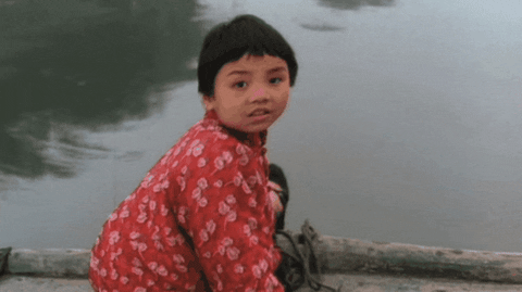 valiecevennes giphygifmaker GIF