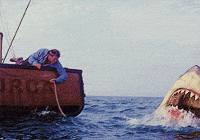 shark week jaws GIF