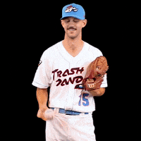 Rocket City Trash Pandas GIF by Rocket City Trash Pandas