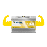 Power Duty Sticker by VARTA Automotive