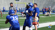 KansasJayhawks dance dancing ku jayhawks GIF